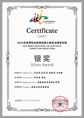 世校赛物流与供应链赛道银奖