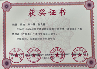 安徽省智慧物流（教师赛）三等奖