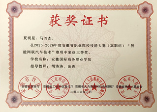 安徽智能网联汽车技术赛项三等奖